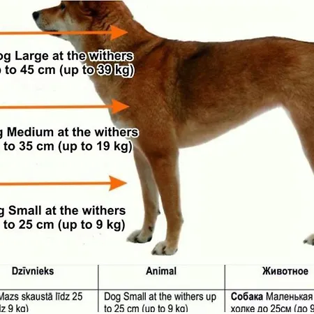 Bright & Cozy Retreat Apartment